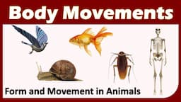 Body Movements | Class 6 : SCIENCE | CBSE / NCERT Science | Forms and Movement in Animals