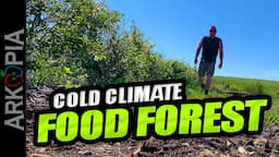 Permaculture Prepping - Cold Climate Food Forest on the prairies