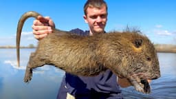 These Giant Invasive Rats are Destroying Louisiana!