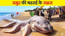 पानी में रहने वाले इन राक्षसों से सावधान | Beware of these Monsters Living in Water