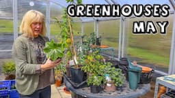 May Greenhouse || Exciting New Plants, Seedlings, Rare Fruit, a Big Loss & Amazing Scents