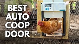 The Ultimate Chicken Coop Upgrade