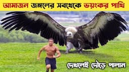 আমাজন জঙ্গলের পাখিরা এত ভয়ংকর কেন? Most Dangerous Birds in The World | Most Aggressive Birds