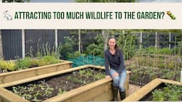 Tackling Weeds, Weather and Wabbits! 🐇