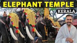 Thrissur Temples & Food Tour | Thrissur Pooram | Kerala Tourist Places | South Indian Temples