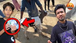 Baby Cow Ko Mandi me Sell krdia!😞Prank on my Friend!😡