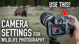 3 Camera Settings Wildlife Photographers Should ALWAYS Use