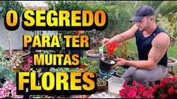 ESSE ADUBO faz as PLANTAS carregarem de FLOR | Henrique Buttler