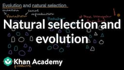 Natural selection and evolution | High school biology | Khan Academy