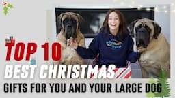 The BEST Gifts for Large Dogs (& the People Who Love Them) | BIG DOG MOM'S FAVORITE THINGS OF 2022!!