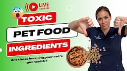 Toxic Pet Food Ingredients - Are these harming your pet’s gut health?