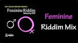 Feminine Riddim Mix (2010)