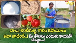 Kashayalu for Organic Farming | పాలు, అరటిగుజ్జు, కారం కషాయాలు ఇలా వాడండి..! Tone Agri