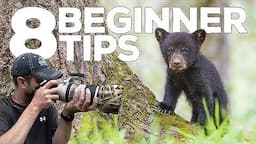 8 BEGINNER TIPS for Wildlife Photography