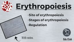 Erythropoiesis | RBC | Erythrocytes || Blood Physiology