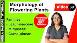 Families - Leguminoceae,  Mimoseae and Caesalpineae | Morphology of Flowering Plants | NEET 2024