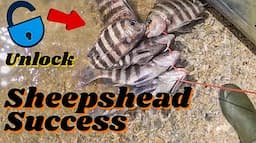 Dockside Sheepshead Fishing: Tips, Tricks, and Best Spots for Success