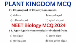 Plant Kingdom MCQ | Biology MCQ 2024 | NEET 2024 MCQ | Class 11 Biology