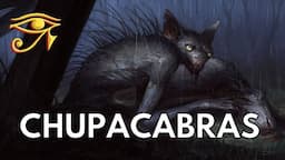 Chupacabras | Vampiric Cryptids of Latin America