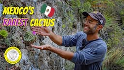 Cactus in habitat: Aztekium hintonii (Full Documentary)