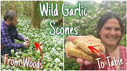 Wild Garlic Scones - Simple Wild Food Recipe 🌱 Foraging From Woods To Table 🧄