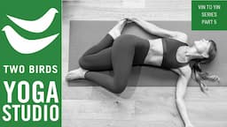 60 Minute Vinyasa to Yin Yoga Series (Part 5)