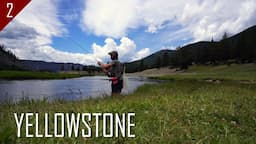 Fly Fishing Yellowstone National Park & the Surrounding Area (Ep. 2 of 4)