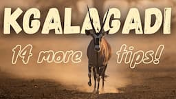 14 ways to enjoy the Kgalagadi Transfrontier Park even more!