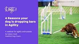 FREE Webinar: 4 reasons your dog is dropping bars in agility