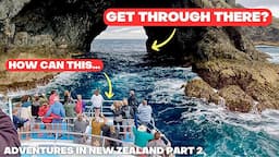 Exploring New Zealand’s North Island’s INCREDIBLE highlights. Let us take you there!