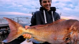 Biggest fish of the season!  Snapper 2020