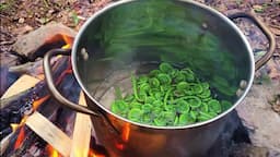 Wild Foraged Meal - Fiddleheads, Ramps, Pine Needle Tea