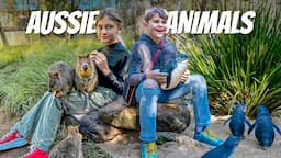 Hold And Feed Exotic Australian Animals At This Wildlife Center