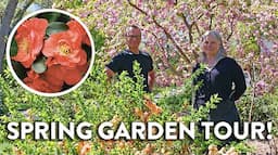 Garden Tour! Spring 2024 | Rhododendrons, Lilacs, and More!