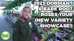 New 2023 Bare Root Roses And My Favorite Varieties - Green Thumb Nursery Tour