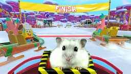 Hamster in Roller Coaster with SPONGE BOB SNOW SLIDE