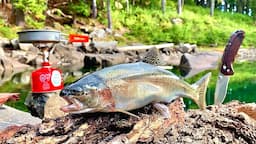 GIANT TROUT Fishing in the MOUNTAINS!!! SOLO Backpacking! (Catch, Cook, Camp pt.2)