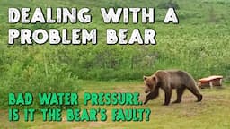 Family Time & Bear Bites ....in our water line