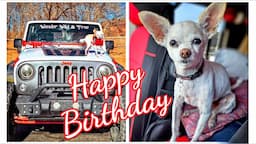 Happy Birthday To My Little Dog | Many Adventures With My Dog