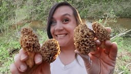 Morel Mushrooms 2021 - Georgia Habitat & Cold Front Tips for Foraging