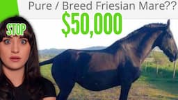 WHO'S BUYING THESE HORSES ???