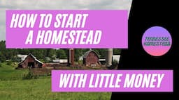 How To Start A Homestead With Little Money | Homesteading For Beginners