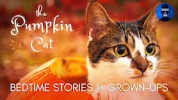 1HR Deep Sleep Story | THE PUMPKIN CAT | Calm Autumn Sleep Story for Grown Ups (fire sounds)