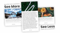 See More/See Less Function For Multiple Paragraph/Text Contents On A Website - HTML CSS & Javascript