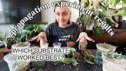 The Results Are In! 🌱 Propagation Experiment 3-Month Update