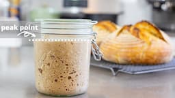 Understanding Sourdough Starter | feeding, ratios, leaven, when to use, what to feed