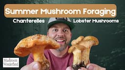 Summer Mushroom Foraging- Chanterelles and Lobsters already!?