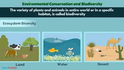 Environmental Conservation and Biodiversity | Class 10 Science