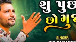 શું પુછો છો મુજને | Birju Barot | Shu Pucho Cho Mujne | Mogaldham Bhayla