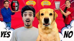 Funniest YES OR NO Challenge With Leo | Deadly Jolochip kon khaega? | Anant Rastogi